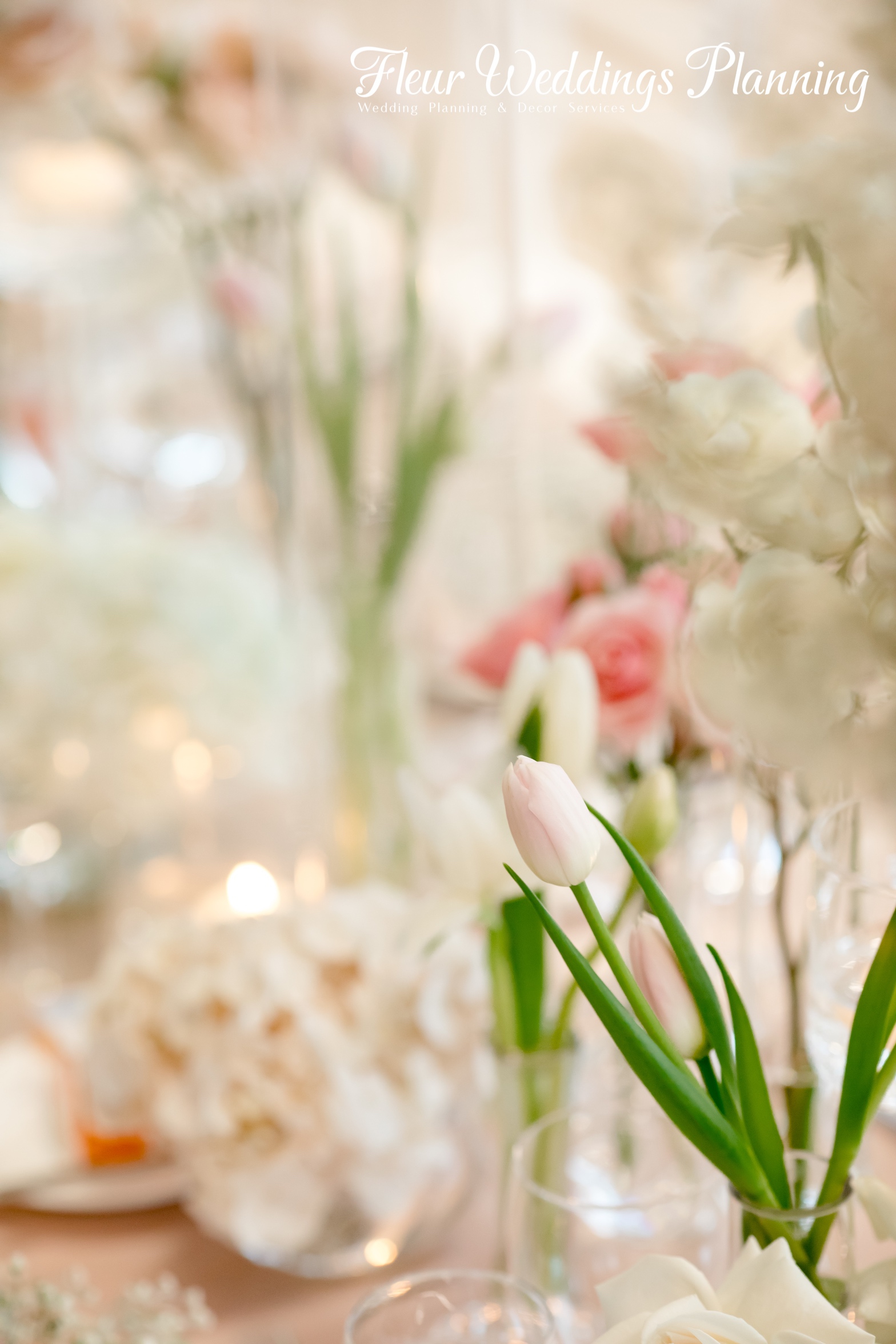 20190119 69 Jasmine And Michael S Wedding Event Wedding