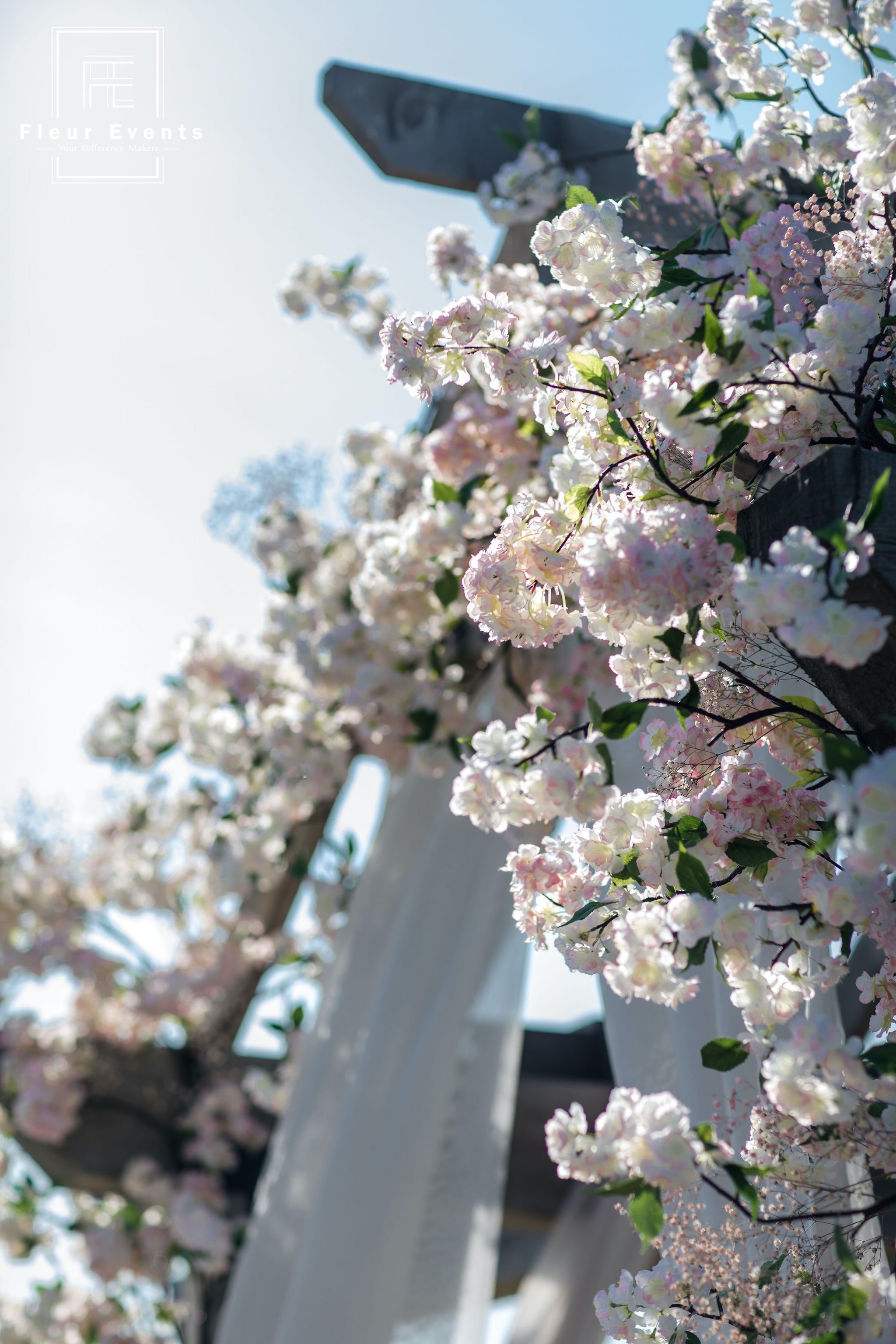 20190622AngelinaWinter-yi-501