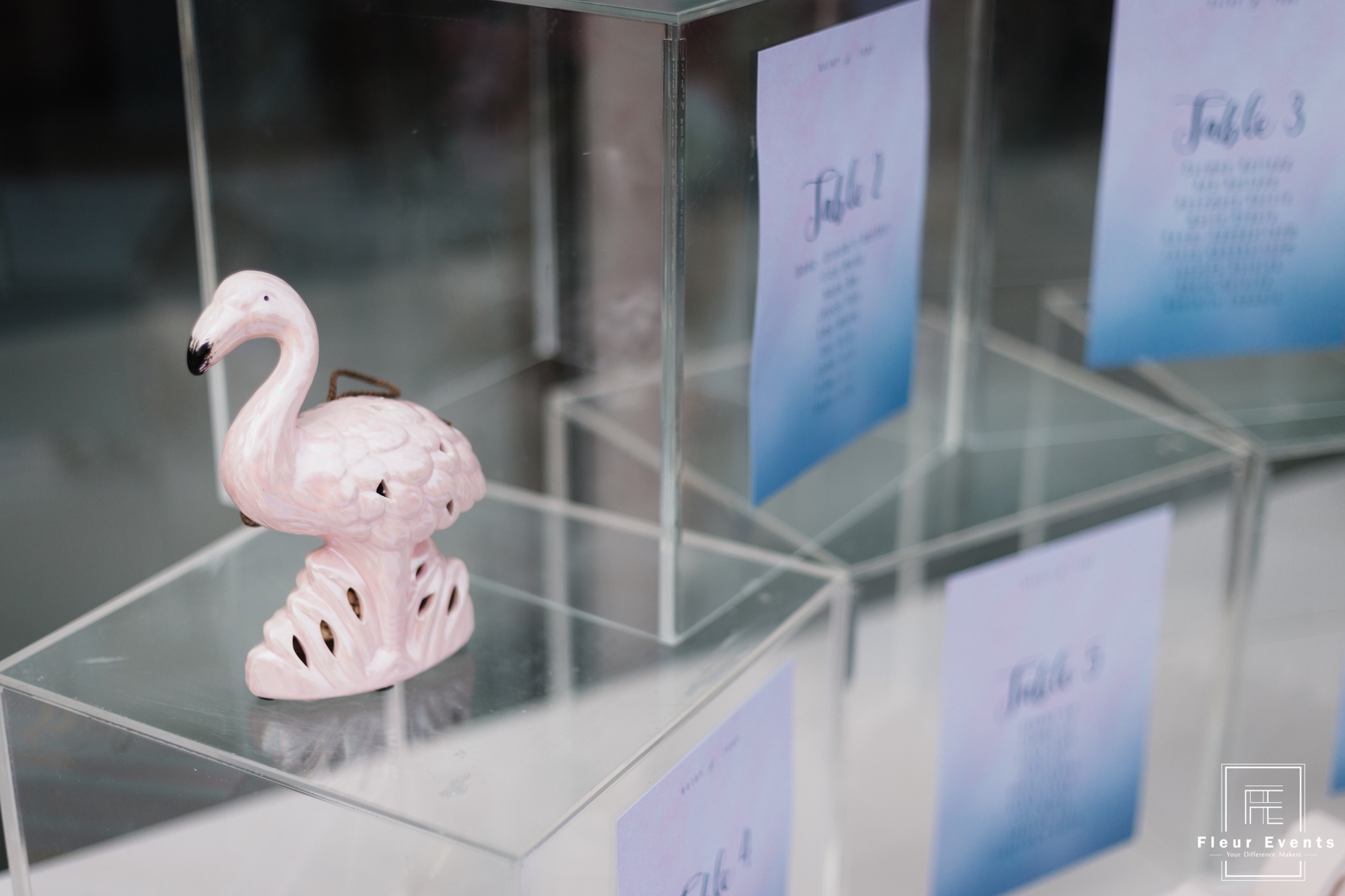 Kathy_TonyDeco-130-_IMG_1474