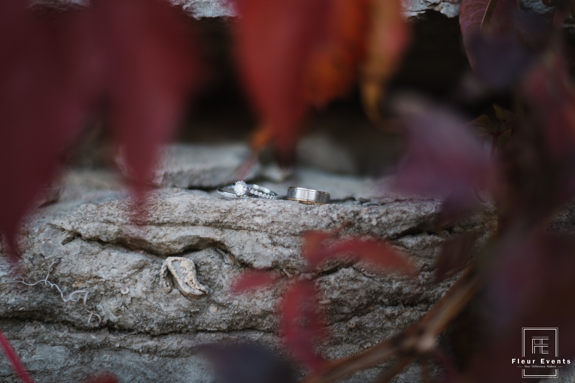 Kathy_TonyDeco-205-_IMG_0846