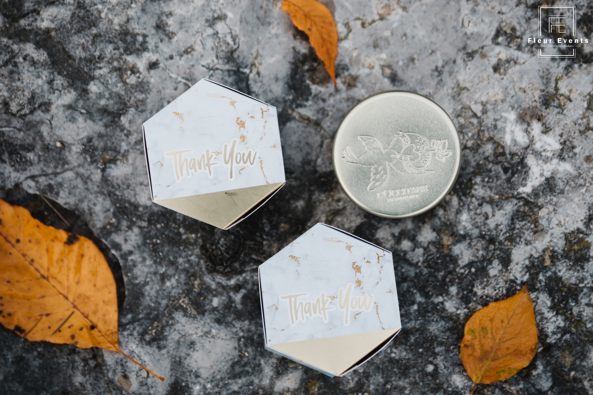 Kathy_TonyDeco-97-_IMG_0877