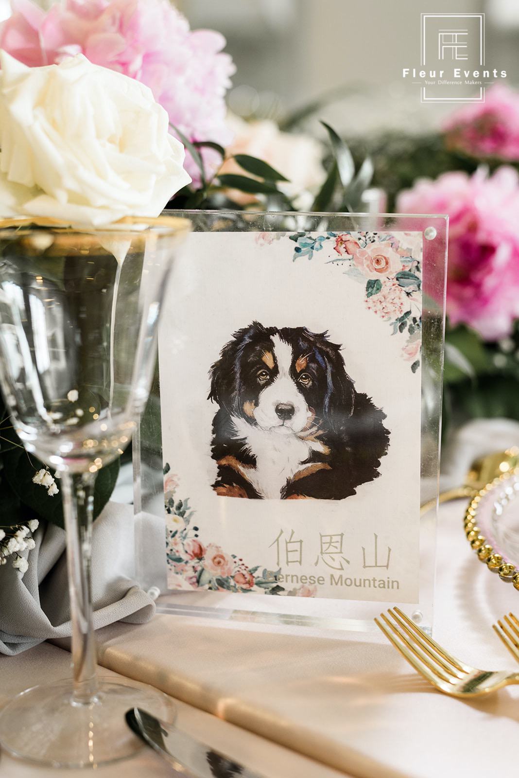 LishuoWenzhu_Wedding-570