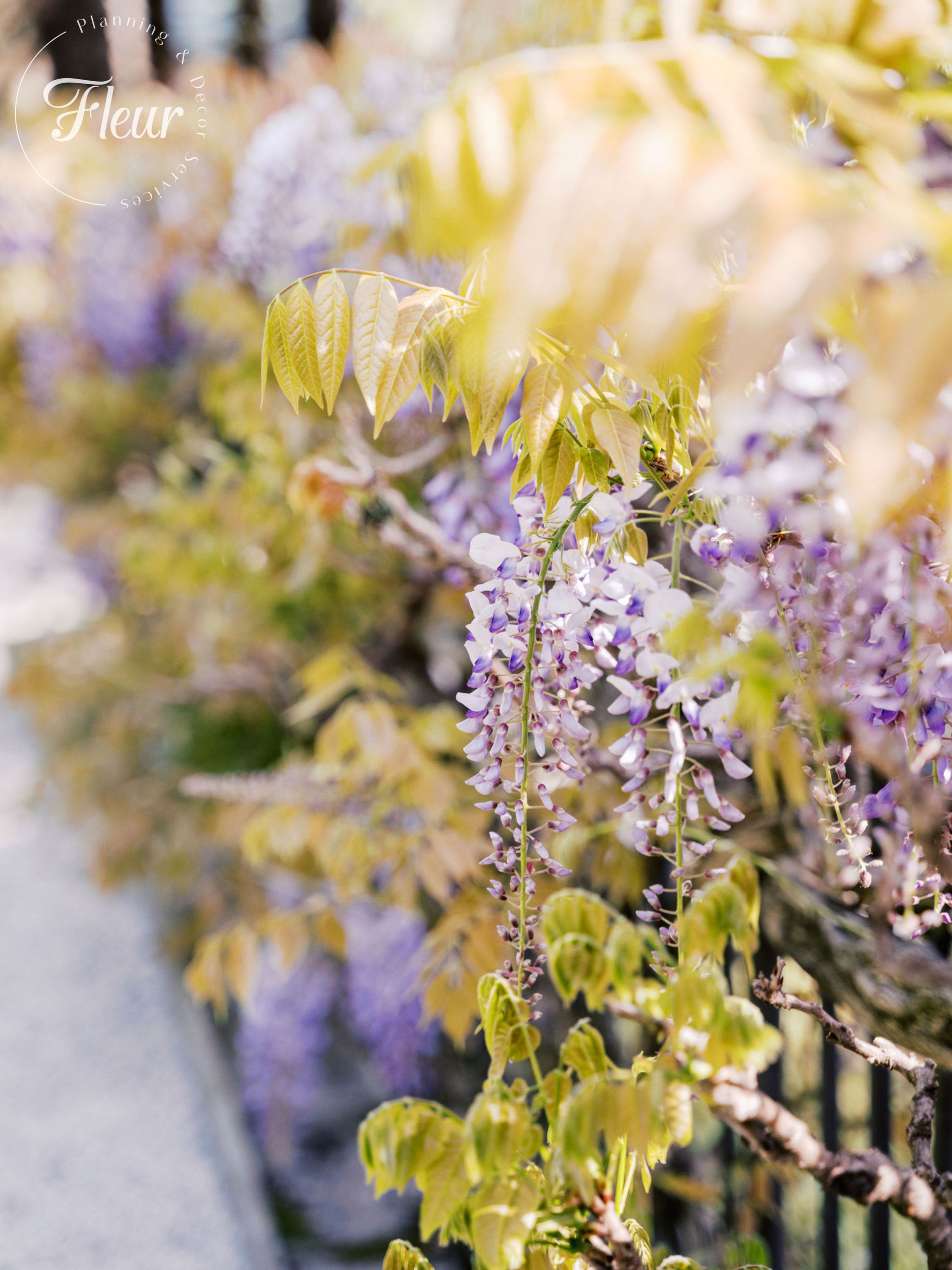 fleurweddings_guiyingxincheng_villadelbalbianello7