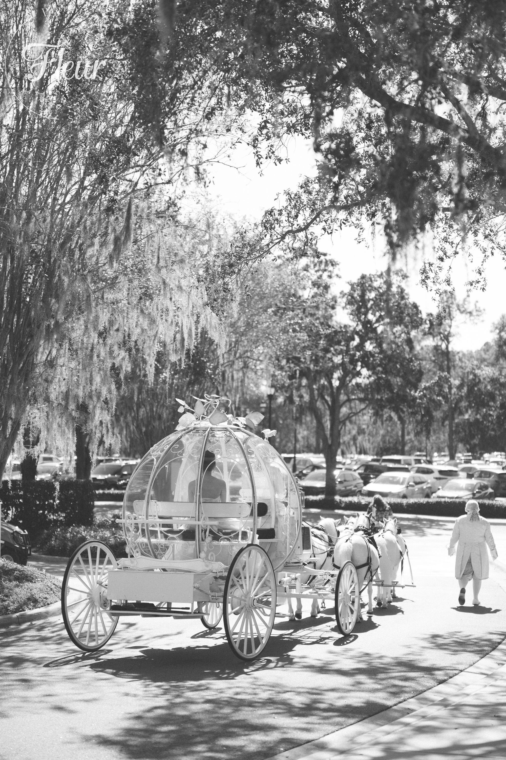 fleurweddings_orlandodisney_cathysteven8