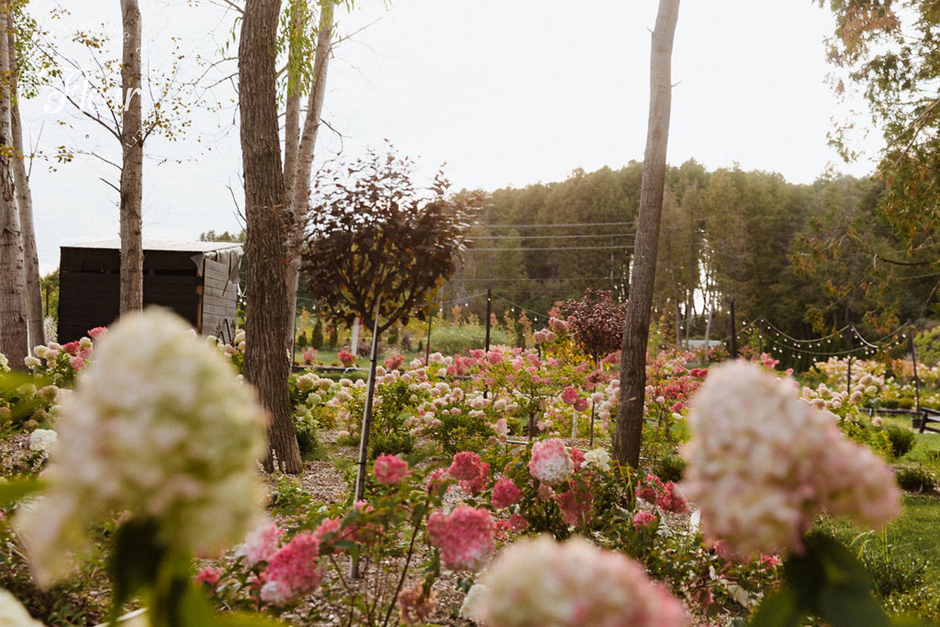 fleurweddings_raziestate_adatianqi24