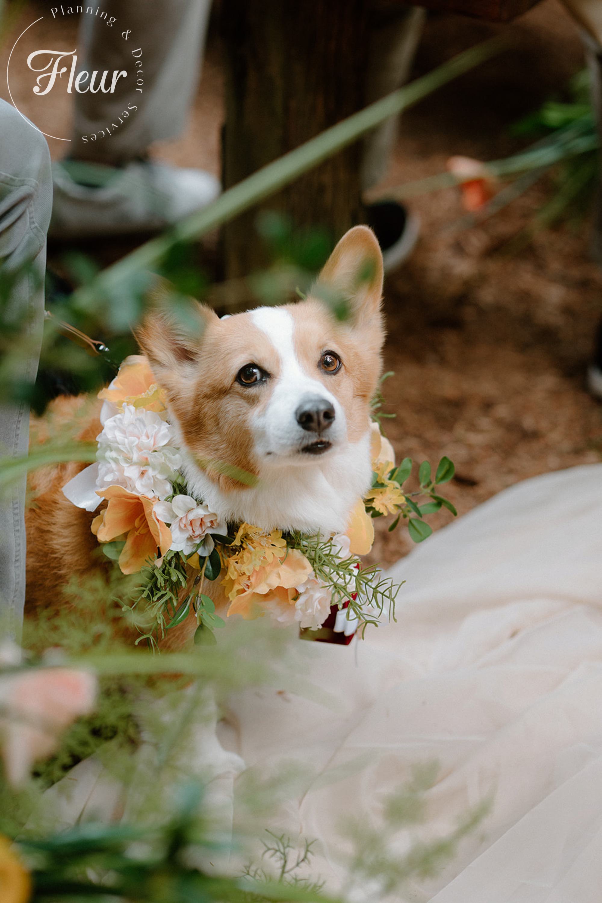 fleurweddings_whisperingsprings_doloreswilliam25